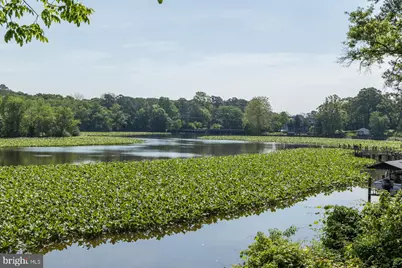 5464 Cherry Hill Lane, Salisbury, MD 21801 - Photo 96