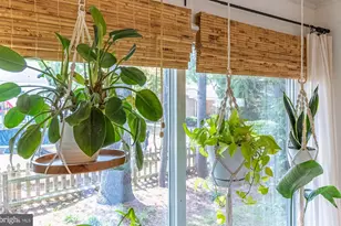 602 Crestview Ln, Salisbury, MD 21801 - Photo 48