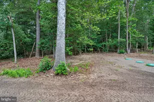 7837 Pristine Pl, Parsonsburg, MD 21849 - Photo 64