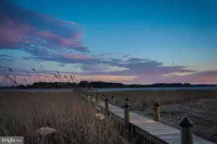 3555 Green Hill Church Rd, Quantico, MD 21856 - Photo 4