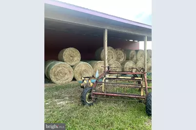 36555 Sheppards Crossing Road, Willards, MD 21874 - Photo 10