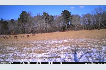 34292 West Street, Pittsville, MD 21850 - Photo 36