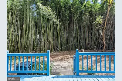 313 W London Avenue, Salisbury, MD 21801 - Photo 40