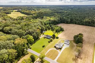 31655 Morris Leonard Rd, Parsonsburg, MD 21849 - Photo 8