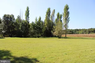 31655 Morris Leonard Rd, Parsonsburg, MD 21849 - Photo 90