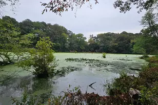 415 Creekside Trail, Fruitland, MD 21826 - Photo 38