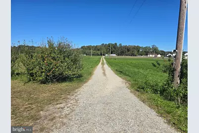 6728 Friendship Road, Pittsville, MD 21850 - Photo 2