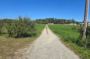 6728 Friendship Rd, Pittsville, MD 21850 - Photo 2