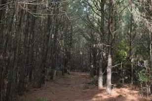 24959 Collins Wharf Rd, Eden, MD 21822 - Photo 10