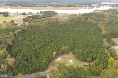 24959 Collins Wharf Road, Eden, MD 21822 - Photo 2