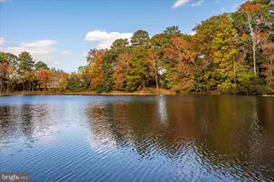 227 Canal Park Dr, Salisbury, MD 21804 - Photo 66