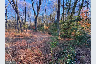 8381 Hurleys Neck Road, Mardela Springs, MD 21837 - Photo 14