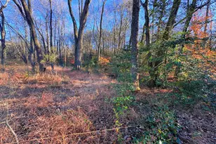 8381 Hurleys Neck Rd, Mardela Springs, MD 21837 - Photo 14