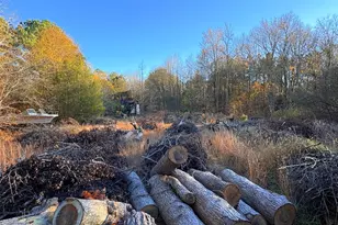 8381 Hurleys Neck Rd, Mardela Springs, MD 21837 - Photo 24