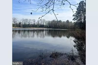 0 Cottman Road, Allen, MD 21810 - Photo 1