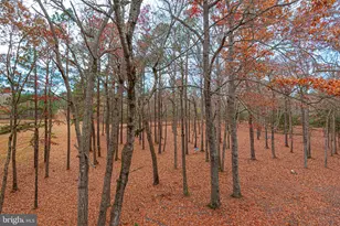 30563 Paddington Ct, Salisbury, MD 21804 - Photo 60