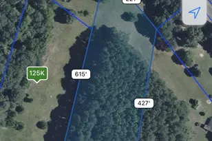 Us Rt 50 Hwy, Mardela Springs, MD 21837 - Photo 1