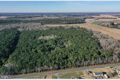0 Bent Pine Road, Willards, MD 21874 - Photo 4