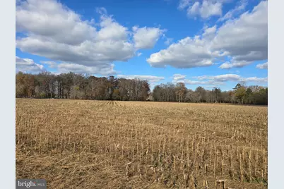 0 Lot 1 Poplar Neck #ROAD, Willards, MD 21874 - Photo 6