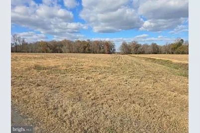 0 Lot 1 Poplar Neck #ROAD, Willards, MD 21874 - Photo 2