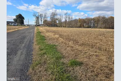 0 Lot 1 Poplar Neck #ROAD, Willards, MD 21874 - Photo 4