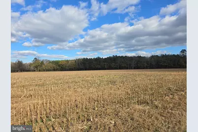 0 Lot 1 Poplar Neck #ROAD, Willards, MD 21874 - Photo 16