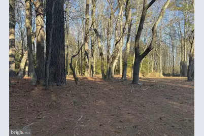 10228 Sharptown Road, Mardela Springs, MD 21837 - Photo 1