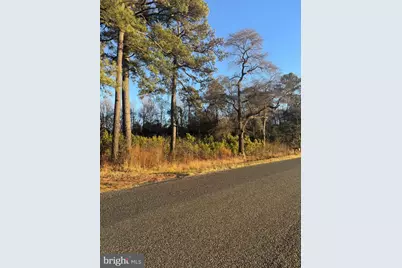 8313 Littleton Road, Willards, MD 21874 - Photo 10