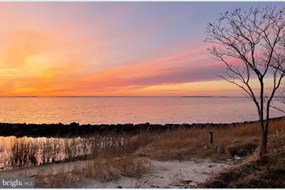 20160 Nanticoke Road, Nanticoke, MD 21840 - Photo 4