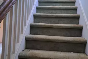 7130 Parsonsburg Rd, Parsonsburg, MD 21849 - Photo 20