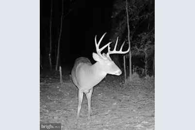 007 Muddy Hole Road, Tyaskin, MD 21865 - Photo 12