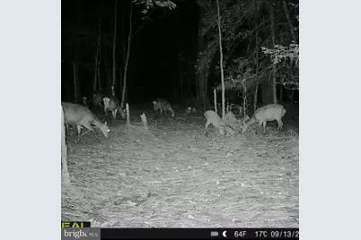 007 Muddy Hole Road, Tyaskin, MD 21865 - Photo 74