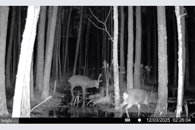 007 Muddy Hole Road, Tyaskin, MD 21865 - Photo 58