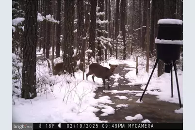 007 Muddy Hole Road, Tyaskin, MD 21865 - Photo 92