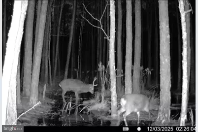 007 Muddy Hole Road, Tyaskin, MD 21865 - Photo 34