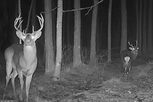 007 Muddy Hole Rd, Tyaskin, MD 21865 - Photo 1