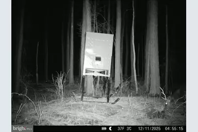 007 Muddy Hole Road, Tyaskin, MD 21865 - Photo 66