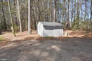 31540 Melson Rd, Delmar, MD 21875 - Photo 46