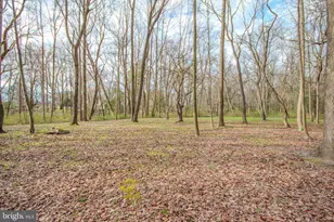 703 Parker Rd, Salisbury, MD 21804 - Photo 50