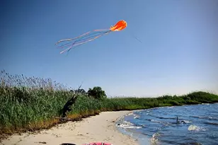 6020 Catchpenny Rd, Quantico, MD 21856 - Photo 4