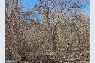 0 Hammond School Road, Salisbury, MD 21804 - Photo 2