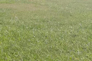 2130 Windsor Dr, Salisbury, MD 21801 - Photo 1