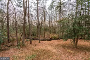 808 Friar Tuck Ln, Salisbury, MD 21804 - Photo 78