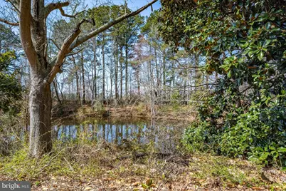 27980 Pemberton, Salisbury, MD 21801 - Photo 88