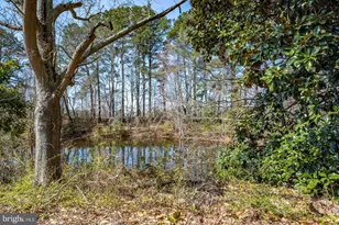 27980 Pemberton, Salisbury, MD 21801 - Photo 88