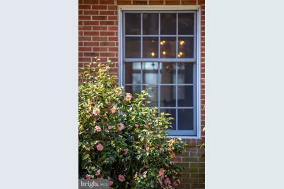 27980 Pemberton, Salisbury, MD 21801 - Photo 106