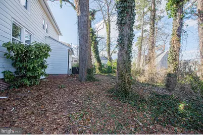 417 Winder Street, Salisbury, MD 21801 - Photo 12