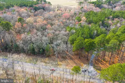 0 Sharptown Road, Sharptown, MD 21861 - Photo 4