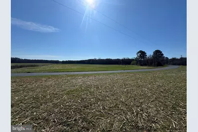 0 Line Road, Parsonsburg, MD 21849 - Photo 8