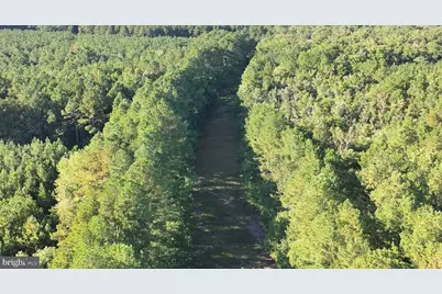 0 Bear Swamp Road, Parsonsburg, MD 21849 - Photo 6
